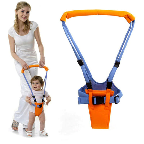 harnais pour la marche apprentissage